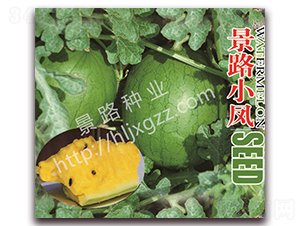 ��·С�P-���ϷN��-��·�N�I(y��)