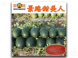 ��·������-���ϷN��-��·�N�I(y��)