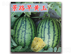 ��·���S��-���ϷN��-��·�N�I(y��)