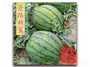 ��·����-�����ϷN��-��·�N�I(y��)