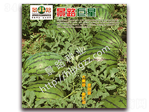 ��·����-�����ϷN��-��·�N�I(y��)