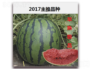 ����OƷ-�����ϷN��-��·�N�I(y��)