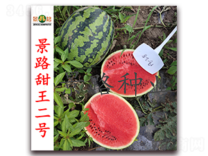 ��·������̖-�����ϷN��-��·�N�I(y��)