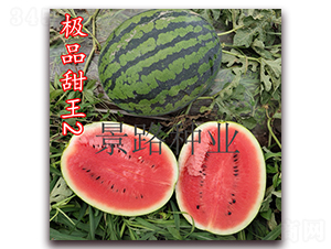 �OƷ����2̖(h��o)-�����ϷN��-��·�N�I(y��)