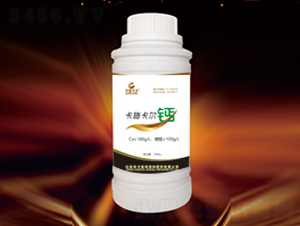 �Ǵ��}-��ʩ����-��ʩ��