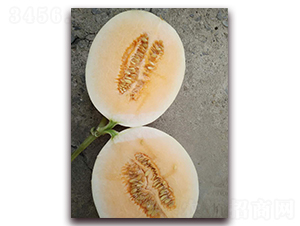 ��t-��Ƥ��ϷN��-�����N��