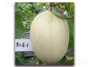 ѩ�t��һ̖(h��o)-��Ƥ��ϷN��-�����N��