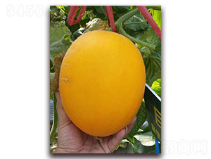 ����74-��Ƥ��ϷN��-�����N��