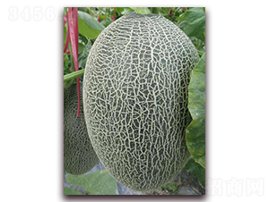 �¼t��17̖(h��o)-���ܹϷN��-�����N��