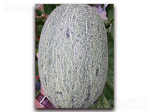 �໨��-���ܹϷN��-�����N��