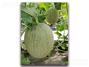 �ƾW(w��ng)����̖-���ܹϷN��-�����N��