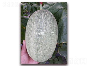 �ƾW(w��ng)��26-���ܹϷN��-�����N��