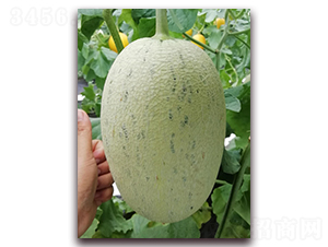 �׼�����-���ܹϷN��-�����N��