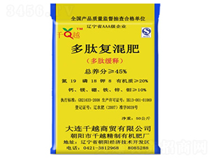 ���ď�(f��)���-ǧԽ