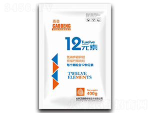 12Ԫ��-�ߵ�-���Z��