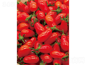 ����������-���ѷN��-����