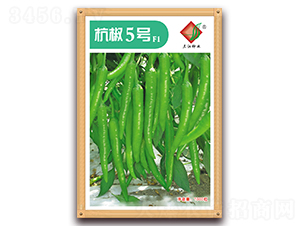 ����5̖(h��o)F1-�����N��-�����N�I(y��)