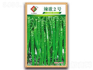 ����2̖-�����N��-�����N�I(y��)