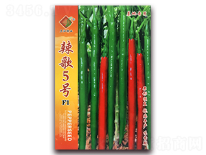 ����5̖(h��o)F1-�����N��-�����N�I(y��)