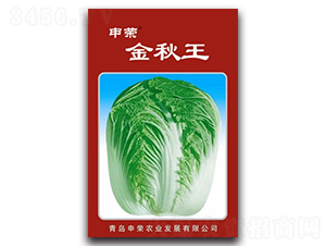 ��s������-��ײ˷N��-��s�r(n��ng)�I(y��)