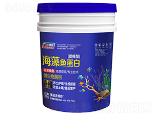 �����~���ף��ٸ��ͣ�-Ӣ���ֲ���