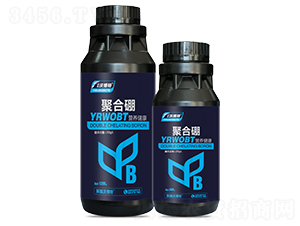 �ۺ���-Ӣ���ֲ���