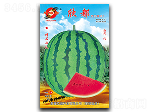 ����-���ϷN��-��Դ�N�I(y��)