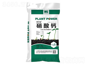 �����}-ʩ�~��-����Ԫ��