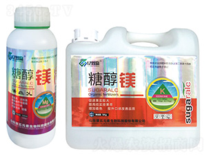 �Ǵ��V-�|�p�A-����Ԫ��