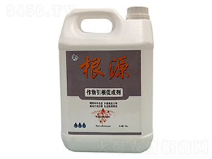 ���������ٳɄ�-��Դ-���ő�