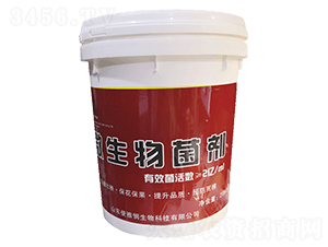 ΢�������-�Sʢ-���ő�