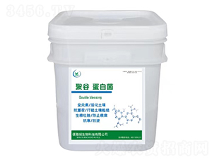 �۹ȵ��׾�-���ő�