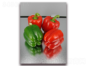 �_��516-�����N��-�����