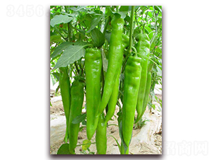 ����968-�����N��-�����