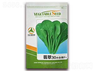 ���30С�ײ�F1-�ײ˷N��-�����