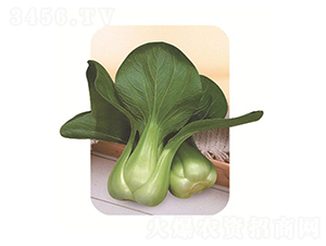 �\�A-��˷N��-�����