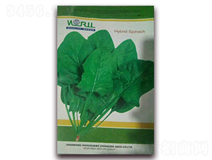 ϣ��163����-���˷N��-�����