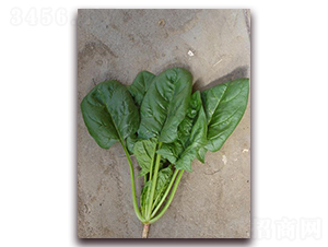 ��(y��u)�G188-���˷N��-�����