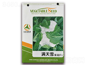 �M��ѩ�˻�F1-�˻��N��-�����