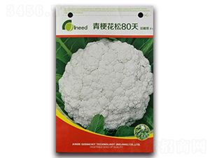 �������80�컨Ҭ��F1-��Ҭ�˷N��-�����