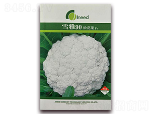 ѩ��90���ɻ���F1-�ɻ��˷N��-�����