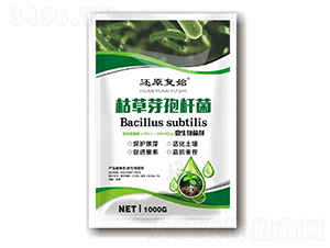 �ݲ�ѿ�ߗU��-߀ԭ��(f��)ʼ-Ȫ�����