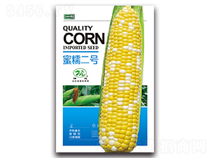 ��Ŵ��̖(h��o)-Ŵ���׷N��-¡�_(d��)