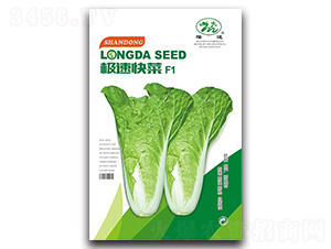 �O�ٿ��F1-��˷N��-¡�_(d��)