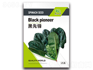 �����h-���˷N��-¡�_(d��)