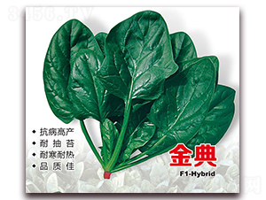 ��䲤��-���˷N��-¡�_(d��)