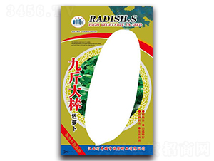 �Ž����t�}��-�}���N��-�\(ch��ng)�ŷN�I(y��)