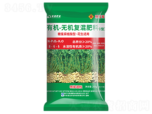 �����m���ЙC(j��)�o�C(j��)��(f��)�����8-6-6-������-���R���r(n��ng)�I(y��)