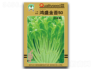 ��ʢ��̦50-��̦�N��-��ʢ�@