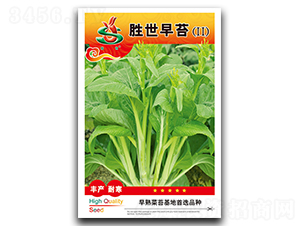 ������̦-��̦�N��-��ʢ�@